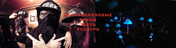 мяу мяу мука Верхний Тагил